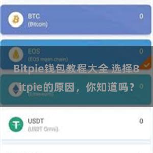 Bitpie钱包教程大全 选择Bitpie的原因，你知道吗？