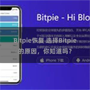 Bitpie恢复 选择Bitpie的原因，你知道吗？