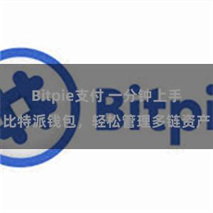 Bitpie支付 一分钟上手比特派钱包，轻松管理多链资产