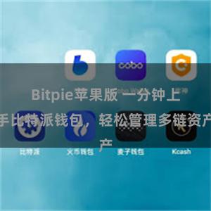 Bitpie苹果版 一分钟上手比特派钱包，轻松管理多链资产