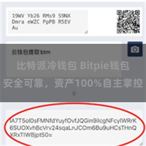 比特派冷钱包 Bitpie钱包安全可靠，资产100%自主掌控