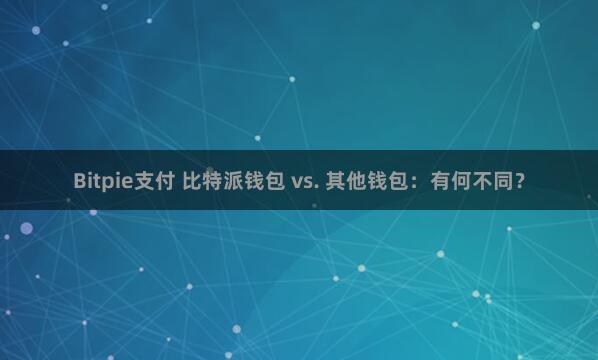 Bitpie支付 比特派钱包 vs. 其他钱包：有何不同？