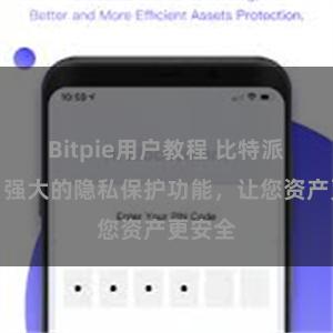 Bitpie用户教程 比特派钱包：强大的隐私保护功能，让您资产更安全