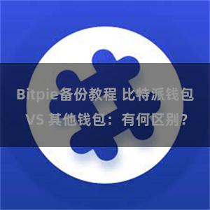 Bitpie备份教程 比特派钱包 VS 其他钱包：有何区别？