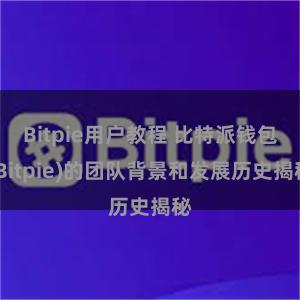 Bitpie用户教程 比特派钱包(Bitpie)的团队背景和发展历史揭秘