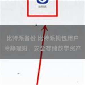 比特派备份 比特派钱包用户冷静理财，安全存储数字资产