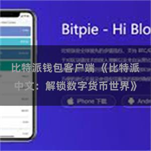 比特派钱包客户端 《比特派中文：解锁数字货币世界》