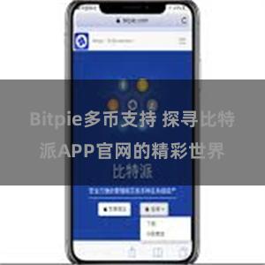 Bitpie多币支持 探寻比特派APP官网的精彩世界