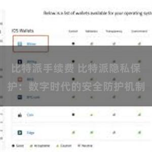 比特派手续费 比特派隐私保护：数字时代的安全防护机制