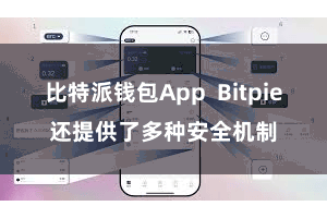 比特派钱包App Bitpie还提供了多种安全机制