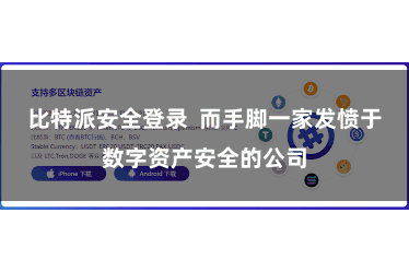 比特派安全登录  而手脚一家发愤于数字资产安全的公司