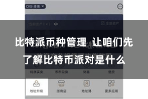 比特派币种管理 让咱们先了解比特币派对是什么