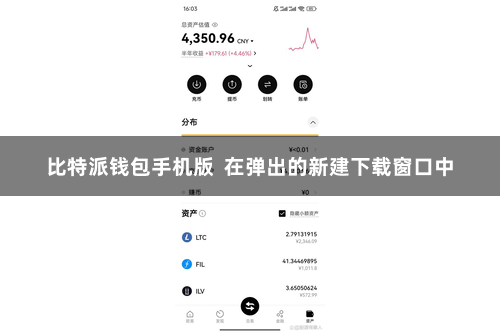 比特派钱包手机版  在弹出的新建下载窗口中