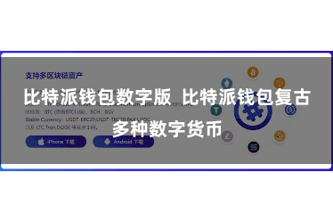 比特派钱包数字版 比特派钱包复古多种数字货币