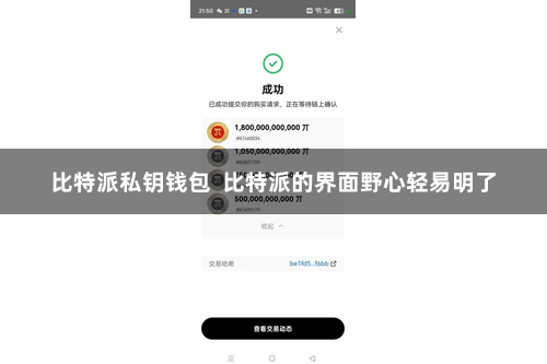比特派私钥钱包  比特派的界面野心轻易明了
