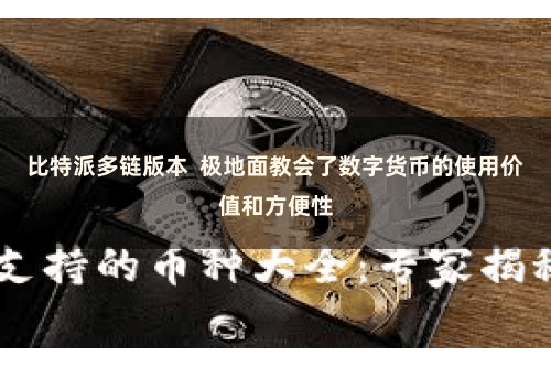 比特派多链版本  极地面教会了数字货币的使用价值和方便性
