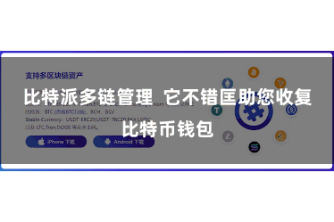 比特派多链管理  它不错匡助您收复比特币钱包